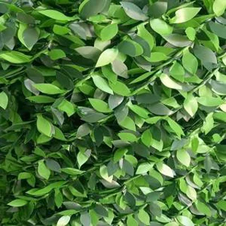 فنس چمنی( مدل برگی)