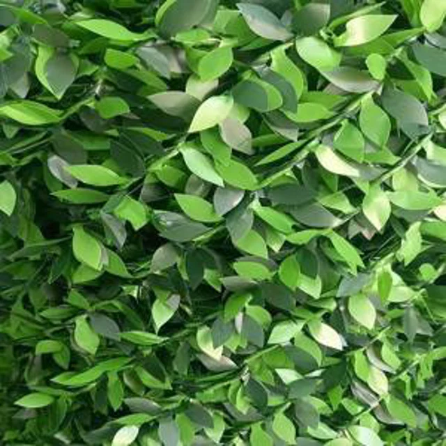 فنس چمنی( مدل برگی)
