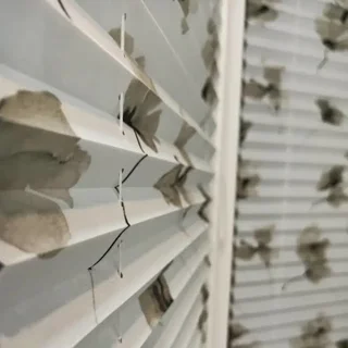 پرده